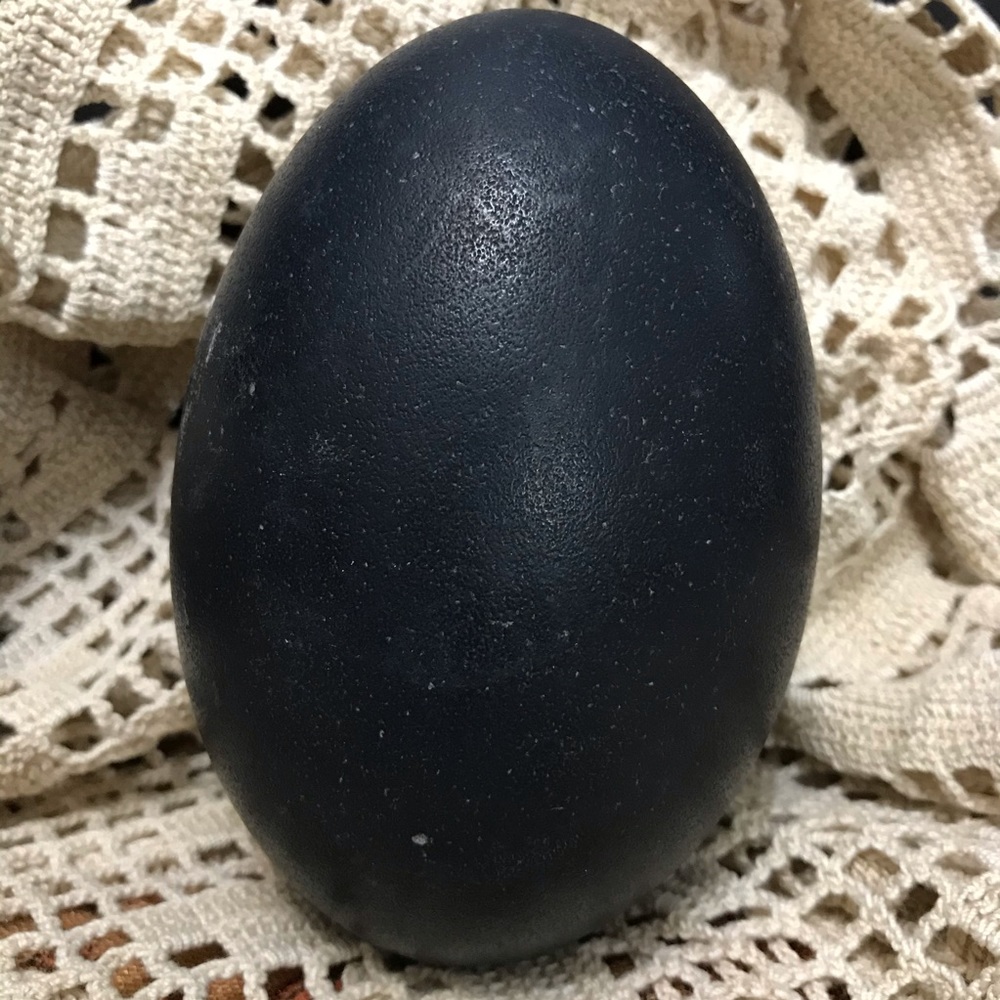 Emu eggs